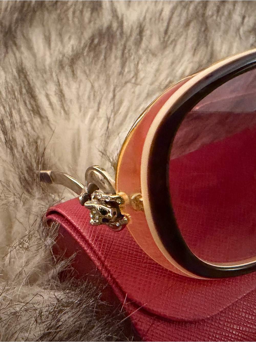 Cartier Women's Sunglasses in Brown with Red Cartier Case - Picture 7 of 7